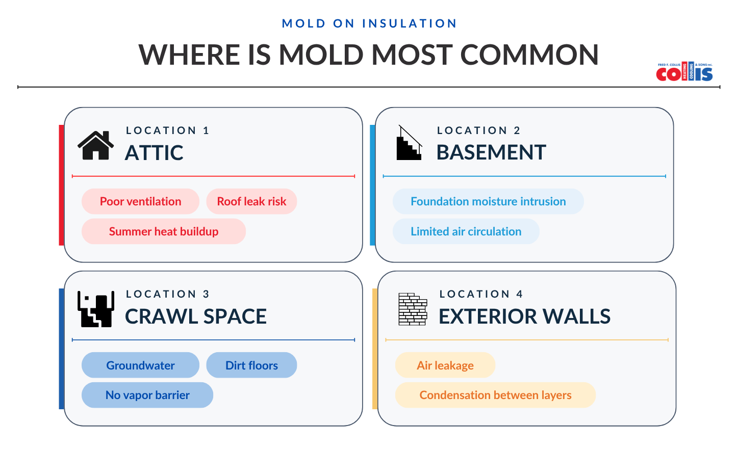 where is mold in your home most common