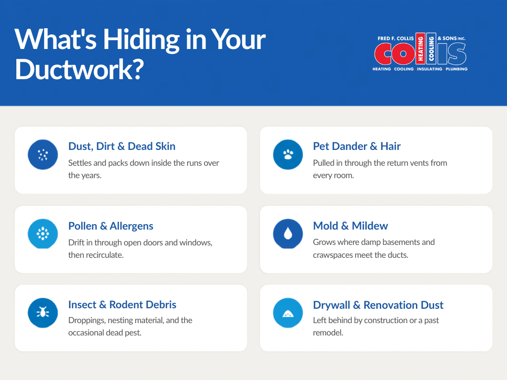 whats hiding in your ductwork 